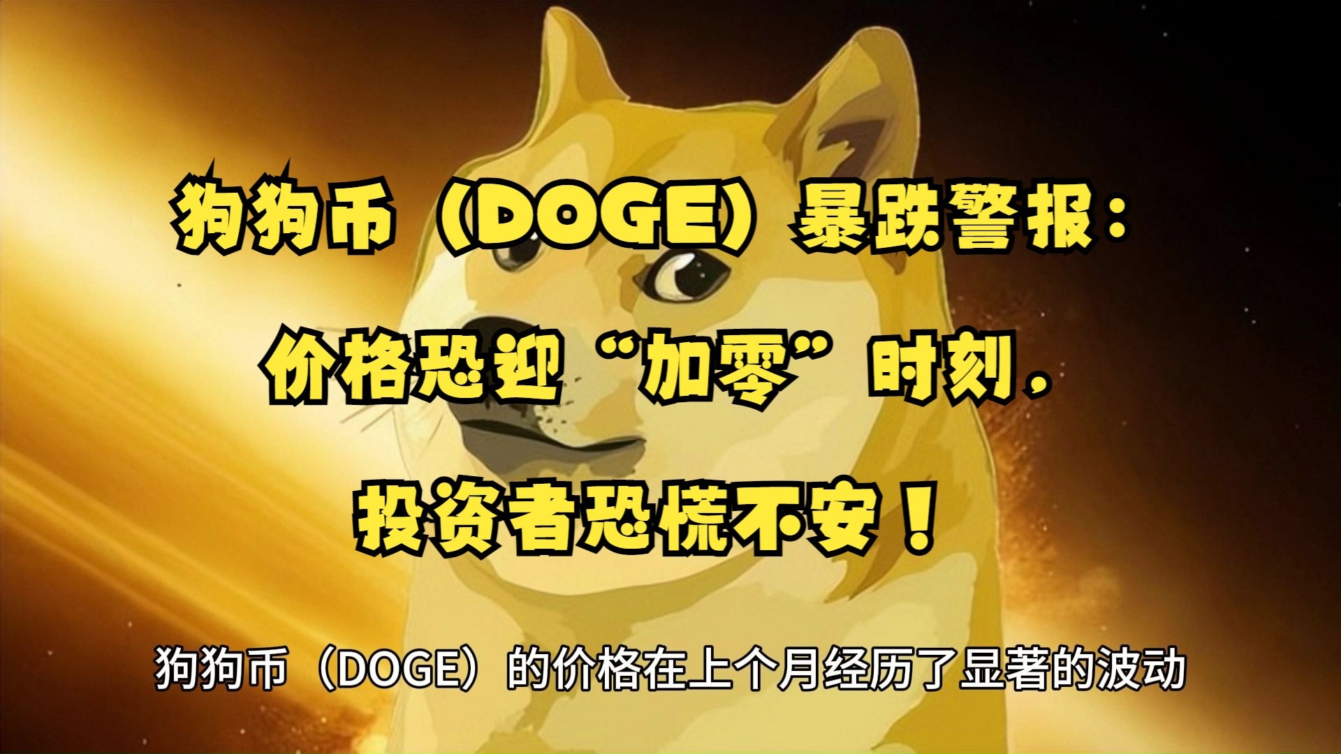 狗狗币上扬势惊人，一夜飙升488%，加密市场沸腾